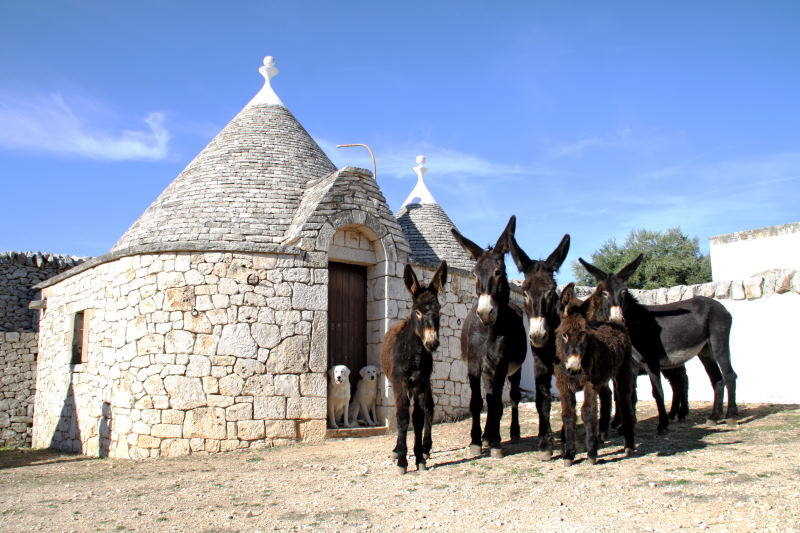 trulli di Alberobello con asini della Murgia